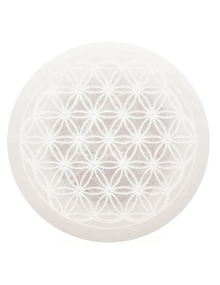 DISQUE SELENITE FLEUR VIE L